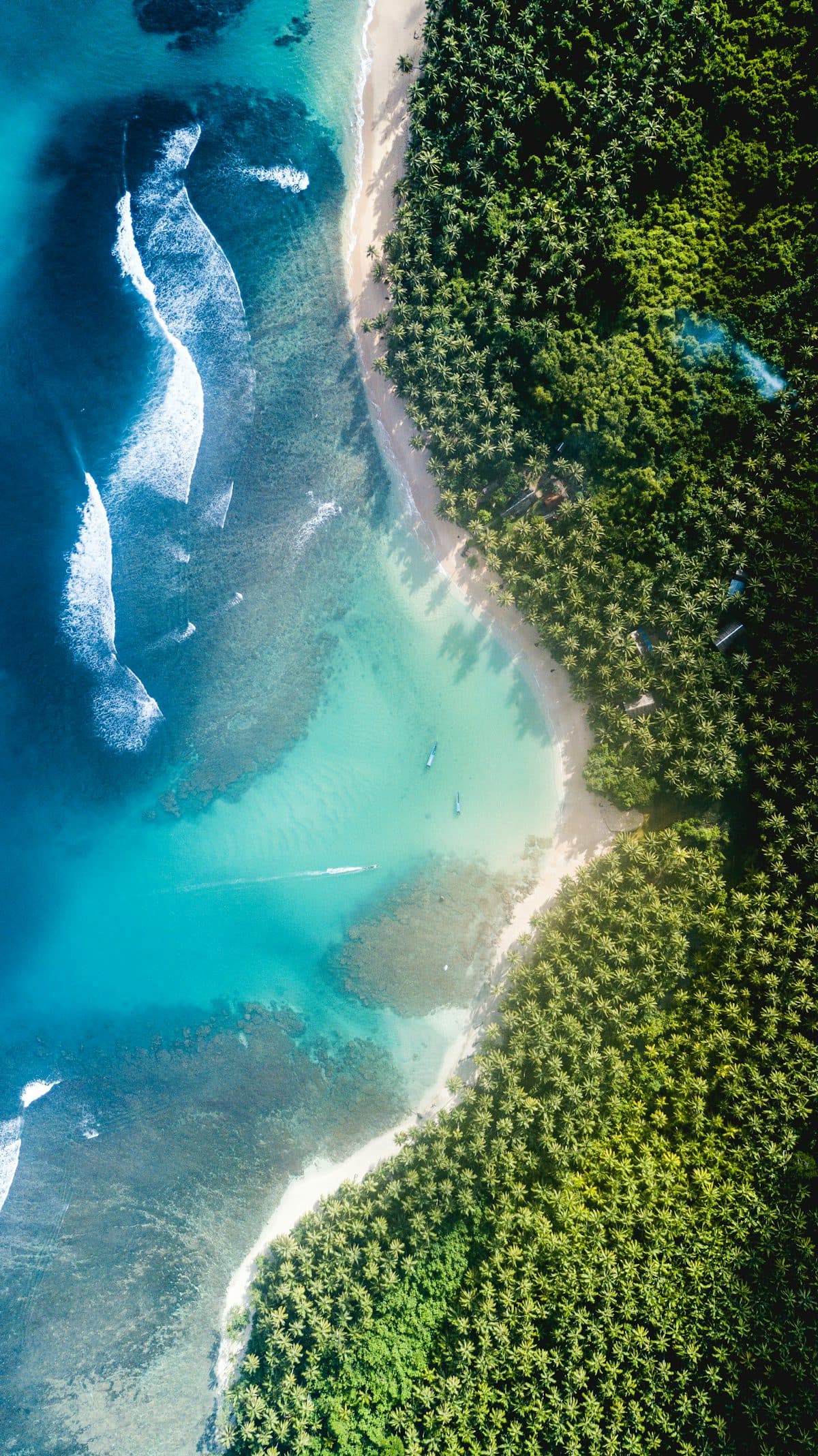 Madagascar's Vanilla, Textiles, and Mining: Freight Forwarding Opportunities in 2026